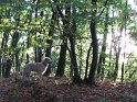 Toamna in padure 049